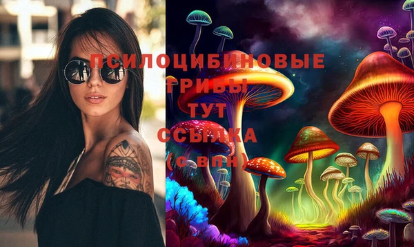 амф Осинники